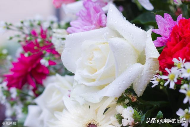 人生哲理句子(有格局的人生哲理句子)