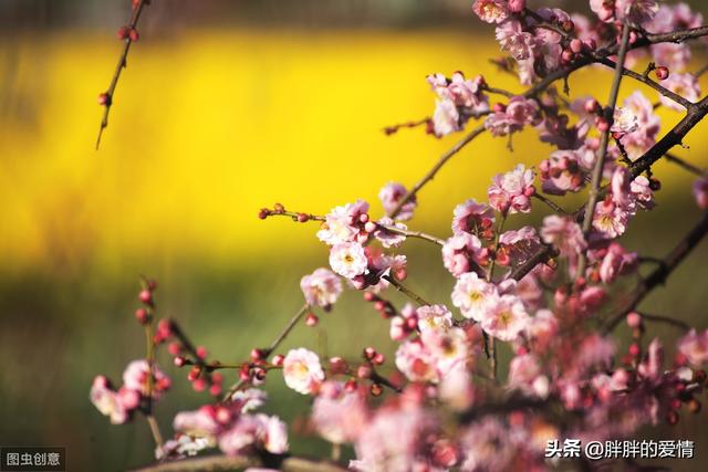 人生哲理句子(有格局的人生哲理句子)