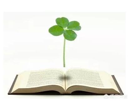 阅读神器安卓版红色（永久免费的看书神器app）