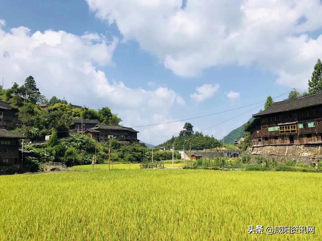 活着余华ppt免费下载（余华的作品《活着》ppt）